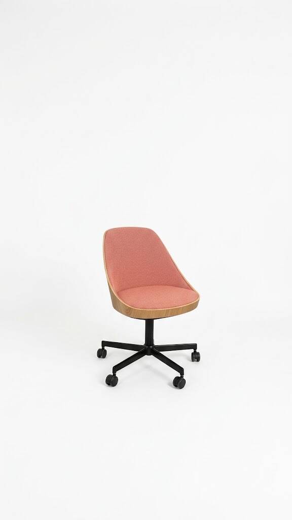 Kaiak meeting chair