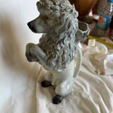 Poodle pitcher in slip