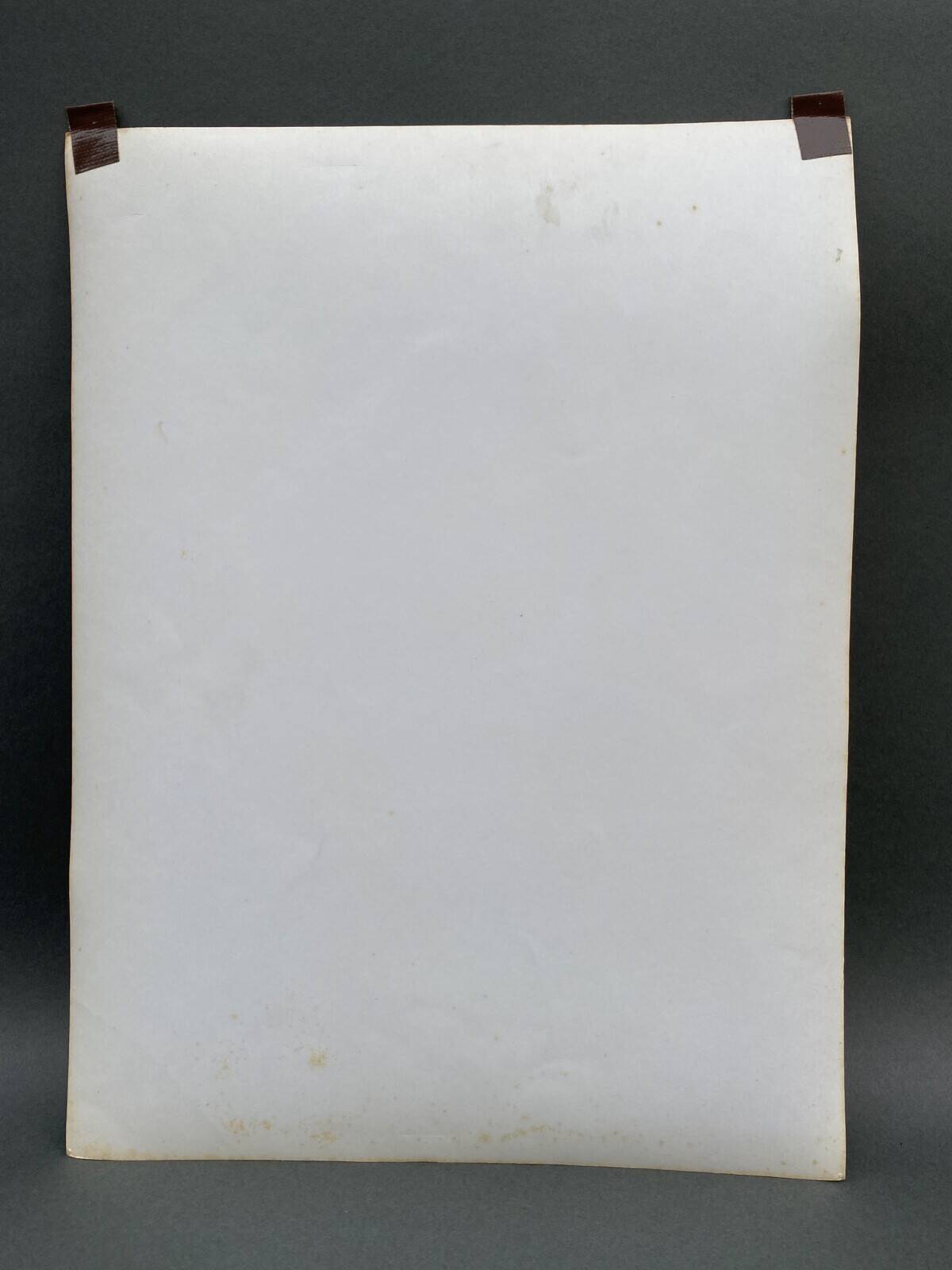 Silver gelatin photograph by Bernard Darot, Dead Tree, 20th century