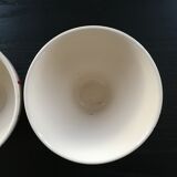 Pair of large bowls