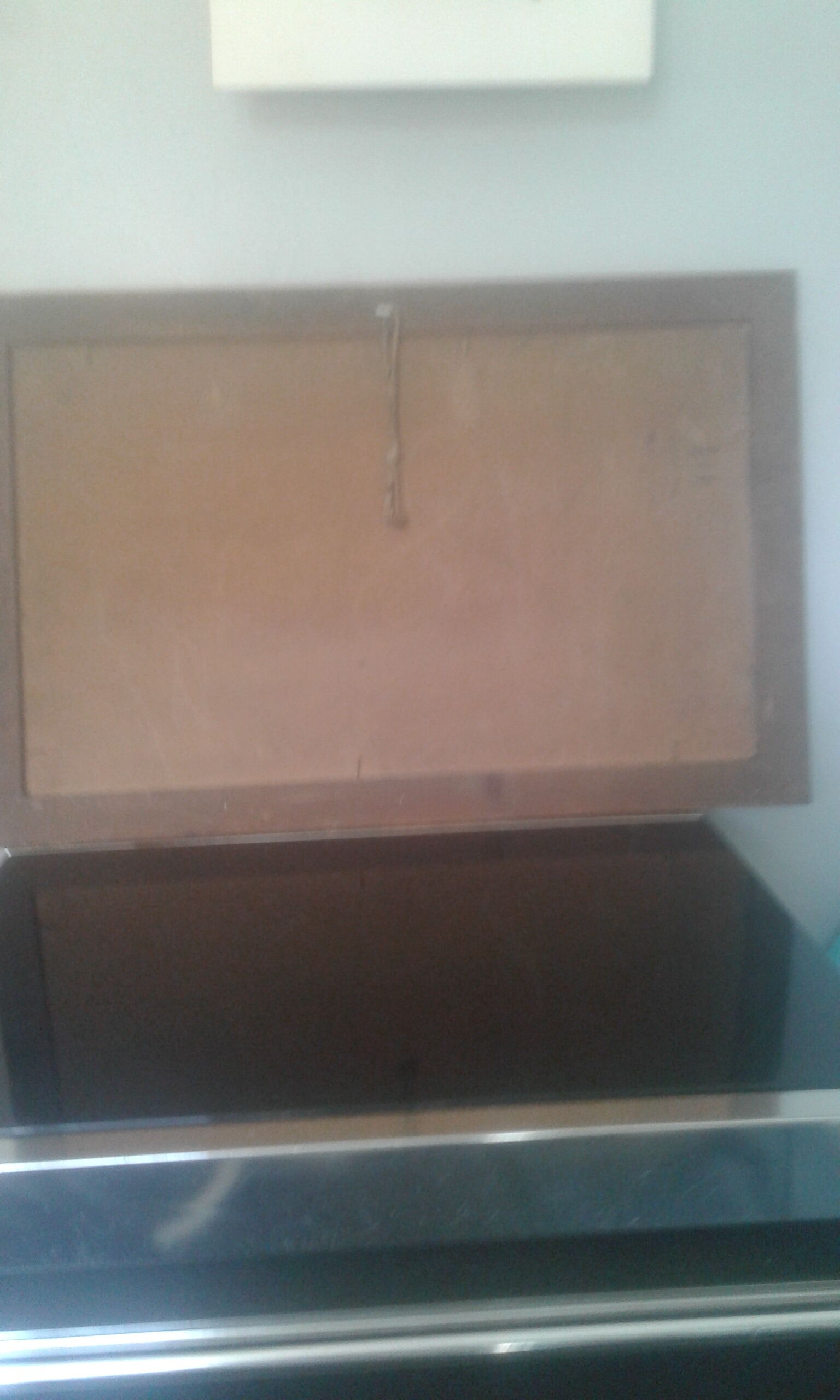 Lioness painting by Xavier Sager