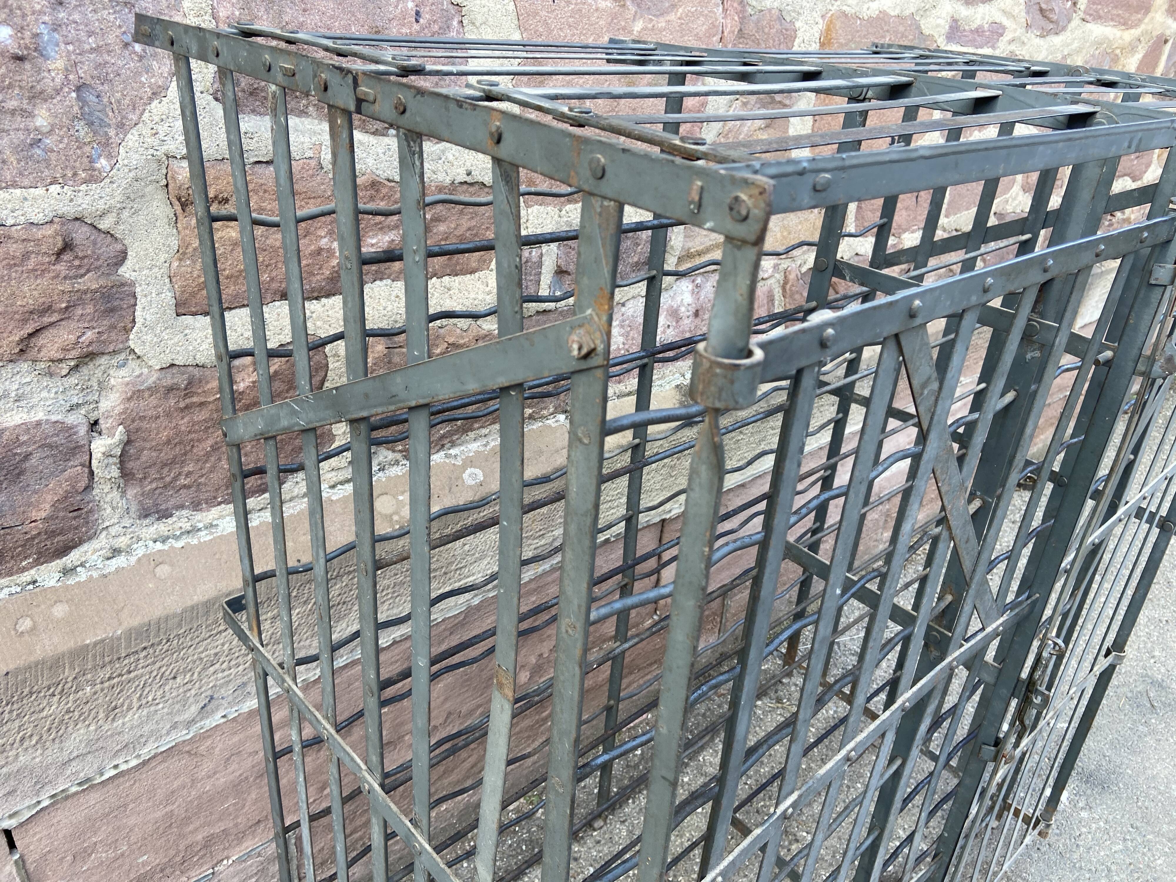 Iron wine cellar forges French wine cellar Rigidex 1950