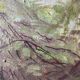 Vintage 70s garden landscape painting