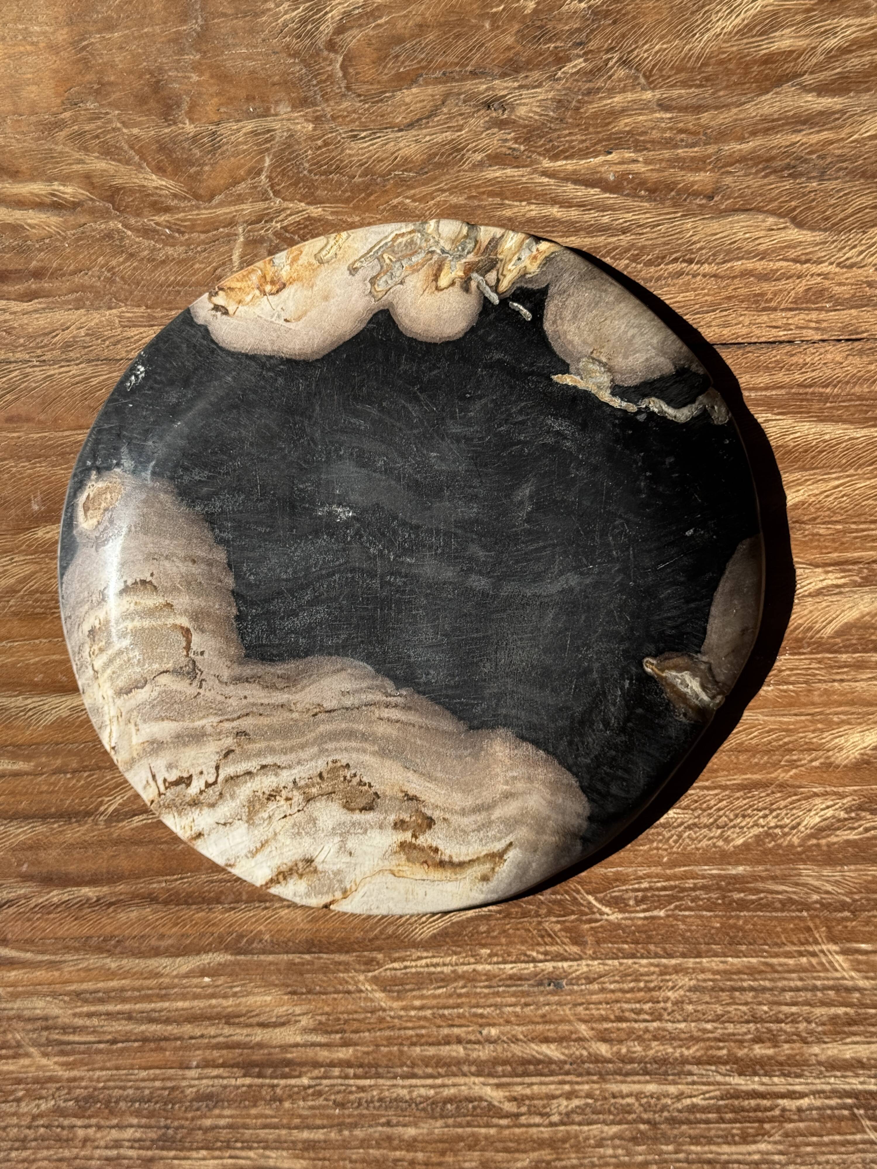 Small pocket tray or dish in black and beige petrified wood D20.5 -3317