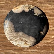 Small pocket tray or dish in black and beige petrified wood D20.5 -3317