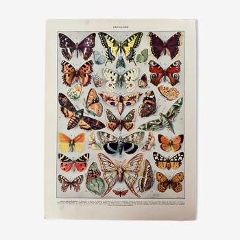 Lithographie sur les papillons de 1928 (Europe)