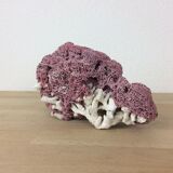 Old pink coral 24 cm