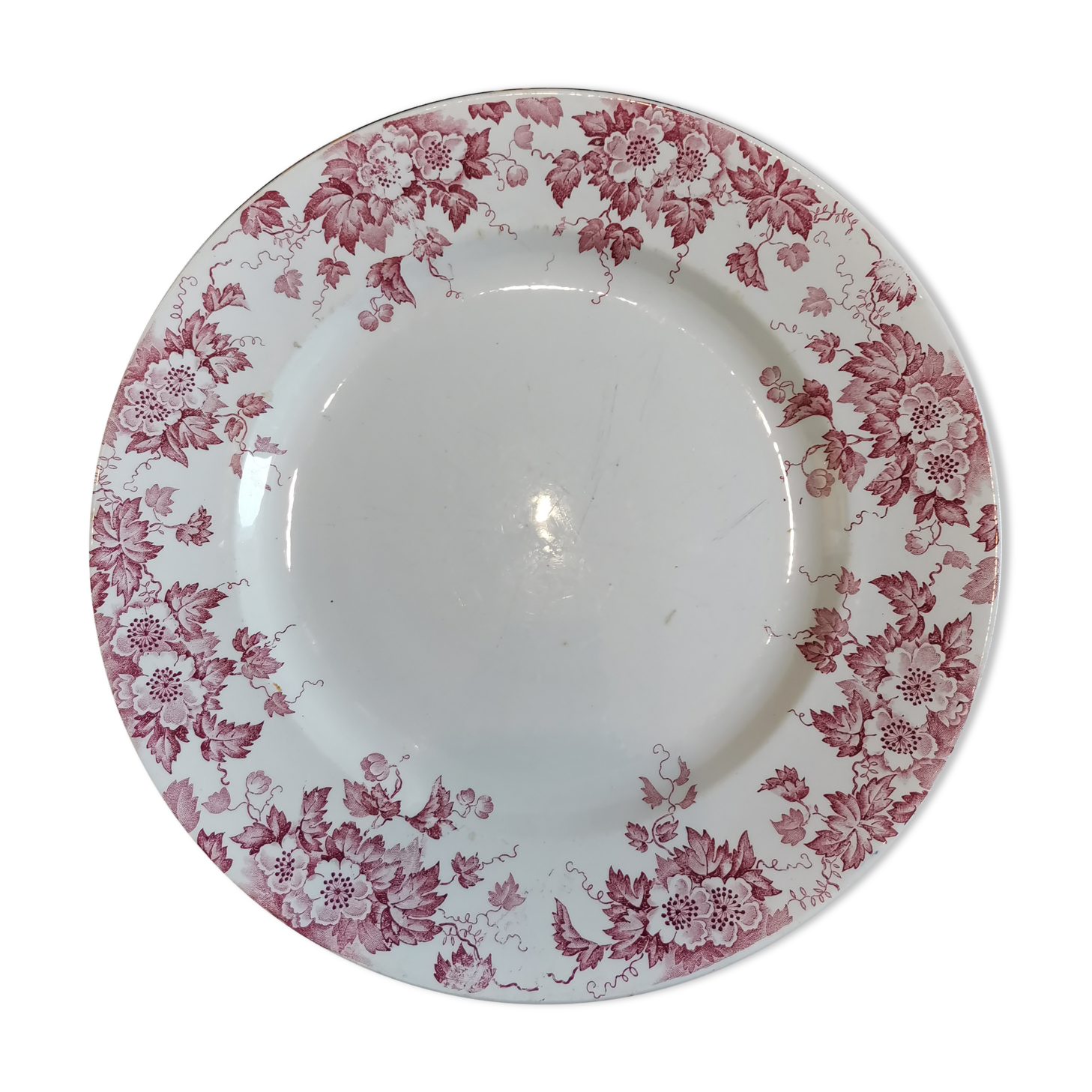 Plat St Amand rouge