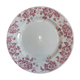 Plat St Amand rouge