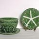 Two bowls in dabbling and their plates leaves cabbage