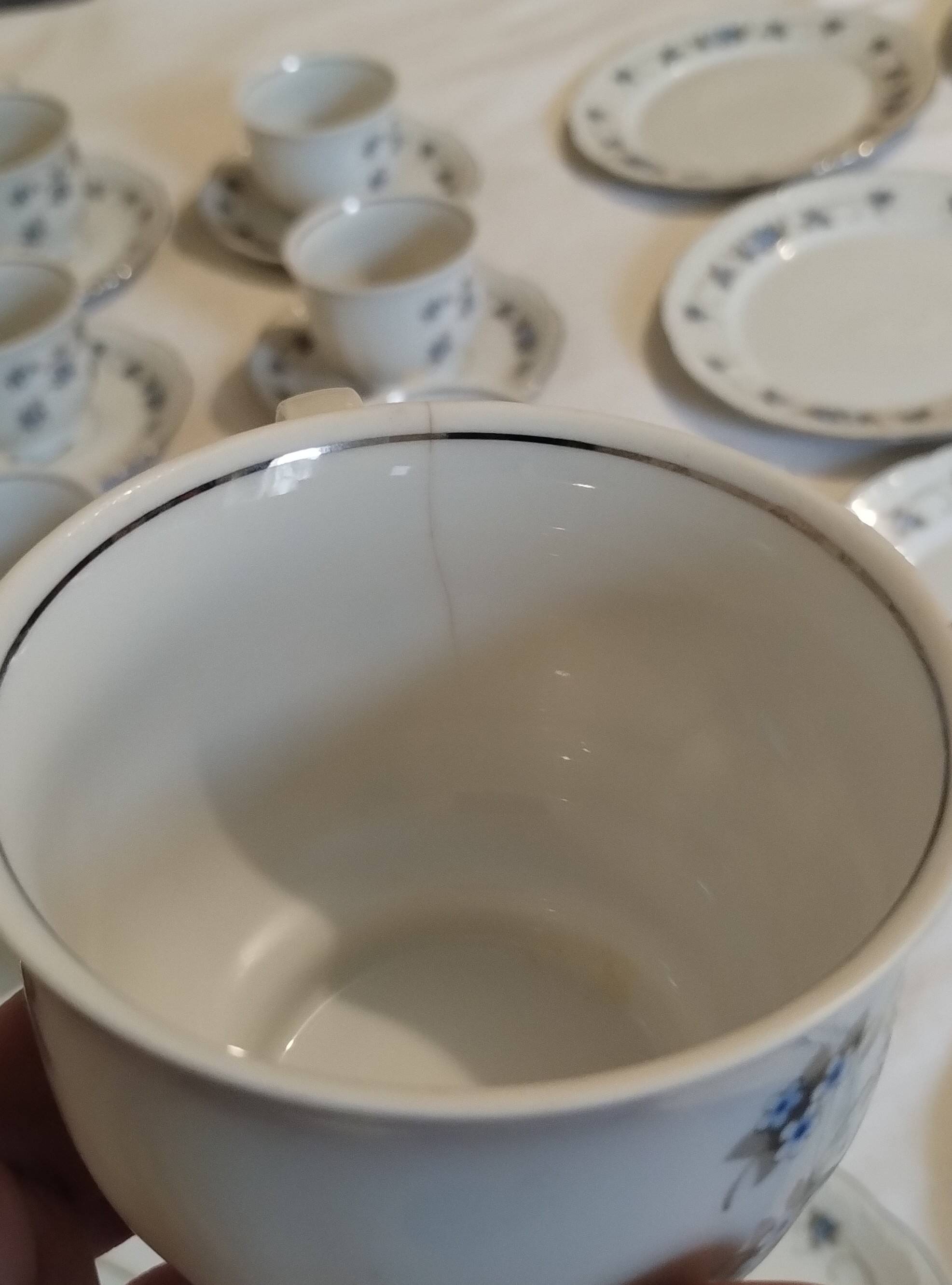 Mitterteich Bavaria Porcelain Coffee/Tea Set