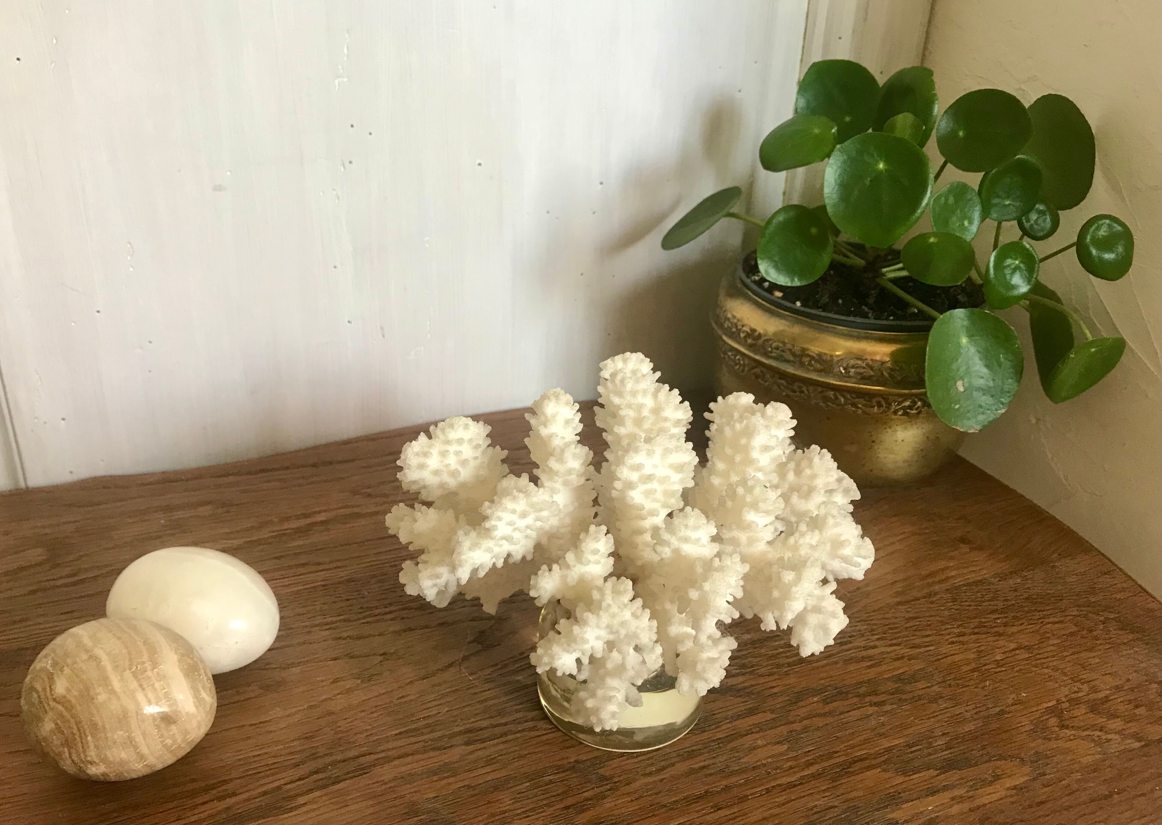 White coral
