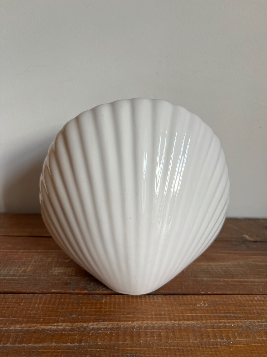 Vase coquillage