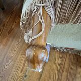 Fauteuil crapaud en velours