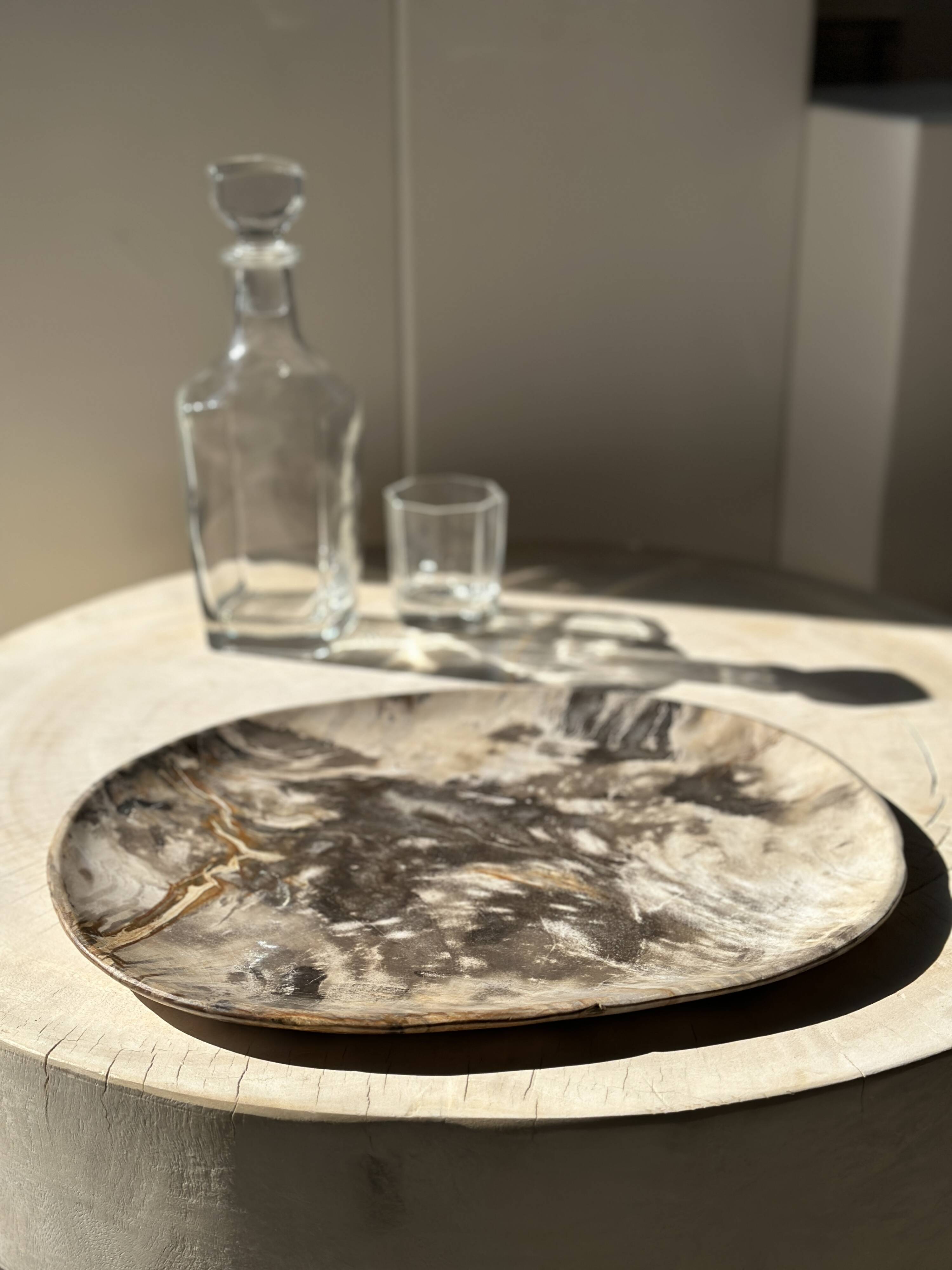 Very large pocket or dish in petrified wood