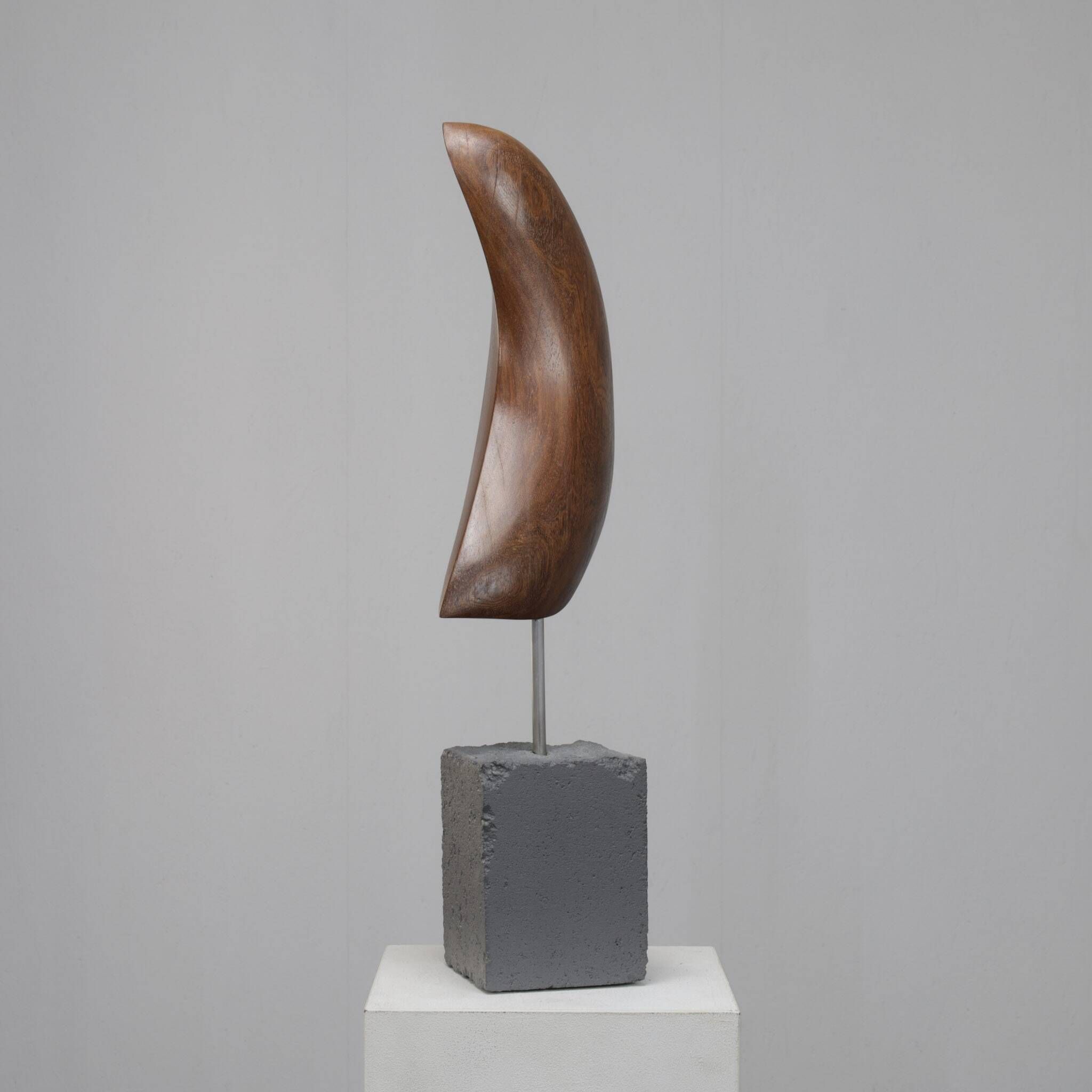 Organic abstract sculpture by Ineke van Zuuren, Netherlands, 1980s