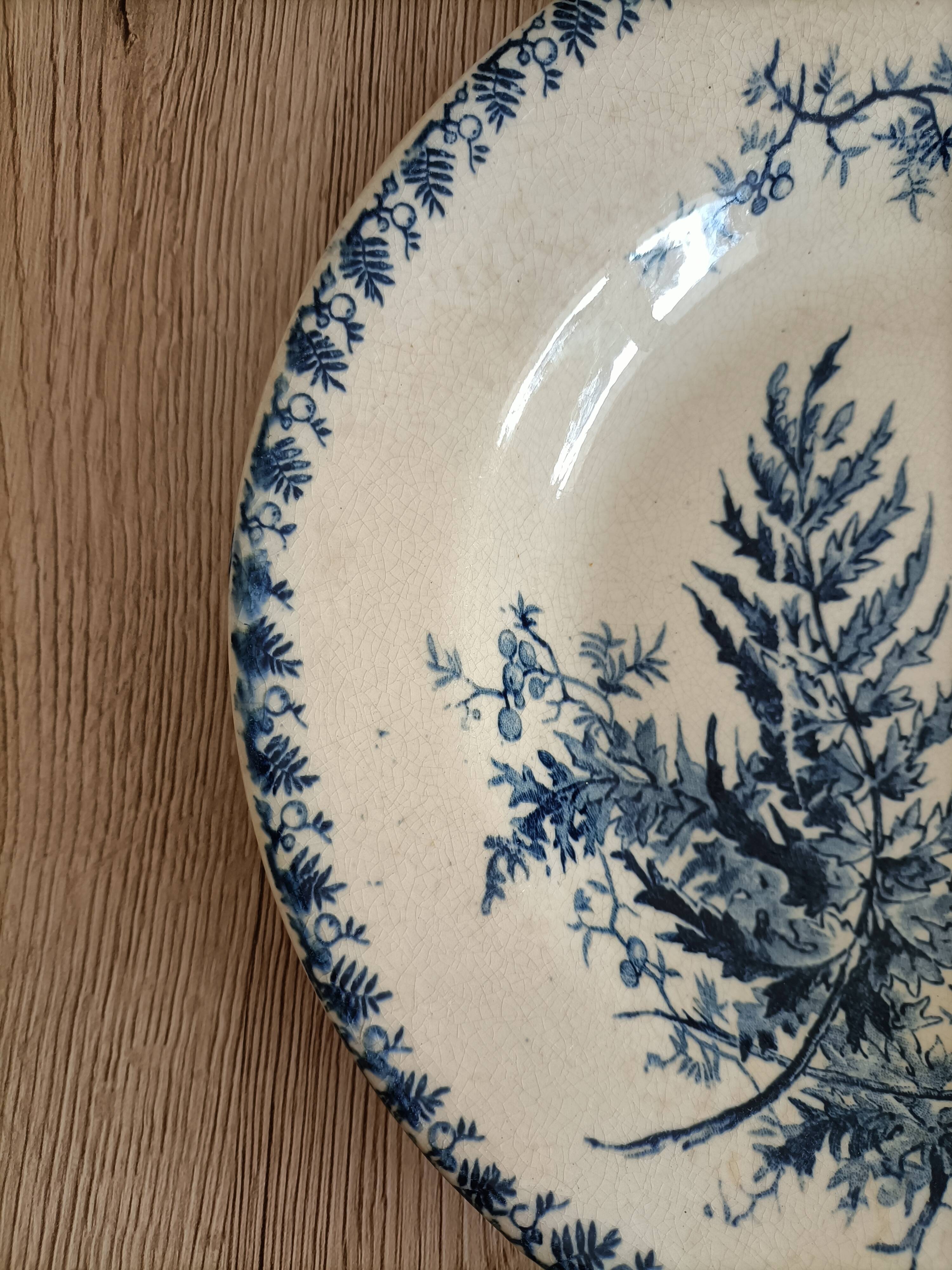 Lot 4 blue plates in opaque porcelain from Gien Fougères collection