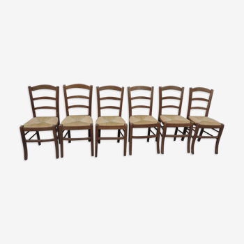 Set of six mulched chairs