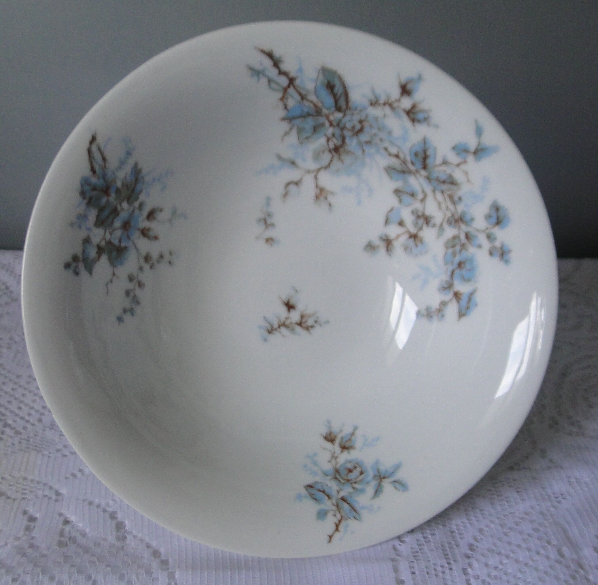 Foot cut hard porcelain shower A.Hache & Cie V France art nouveau bird blue flowers