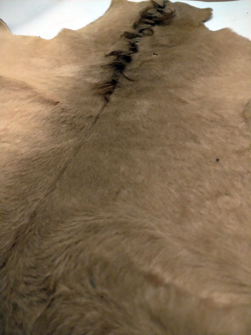 Vintage horse Skin 80 x 110 cm