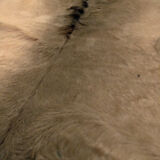 Vintage horse Skin 80 x 110 cm