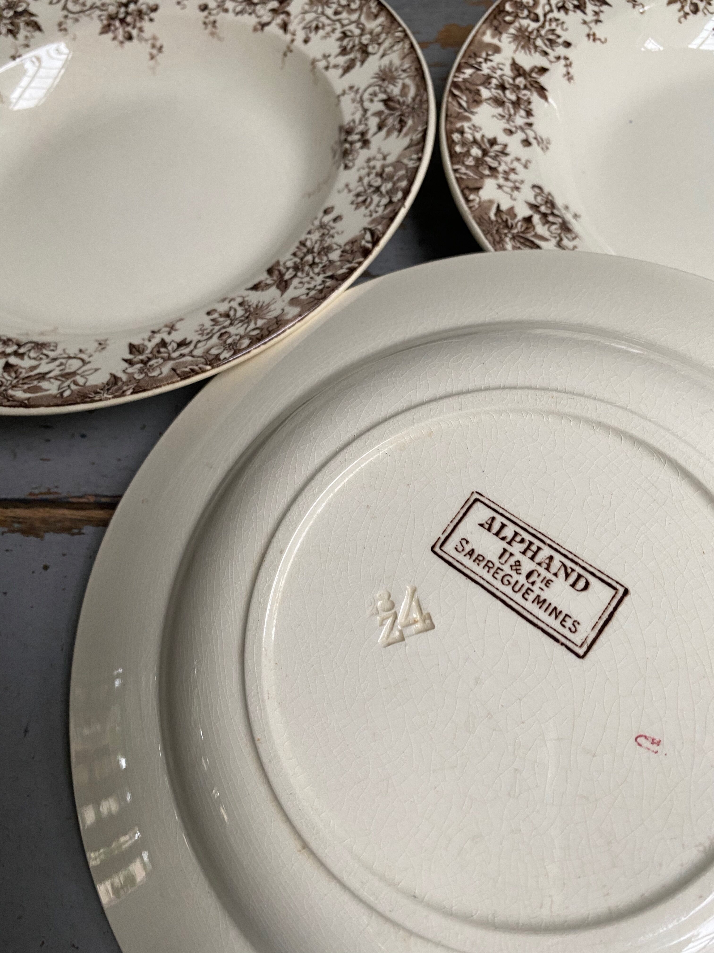 Old hollow plates earthenware of Sarreguemines