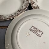 Old hollow plates earthenware of Sarreguemines