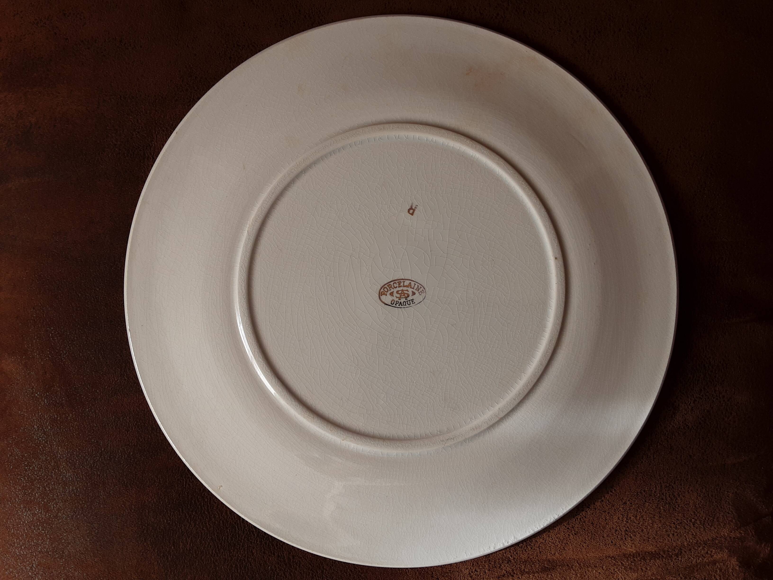 SA opaque porcelain dish