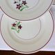 4 vintage flat plates from the Salins factory 210663