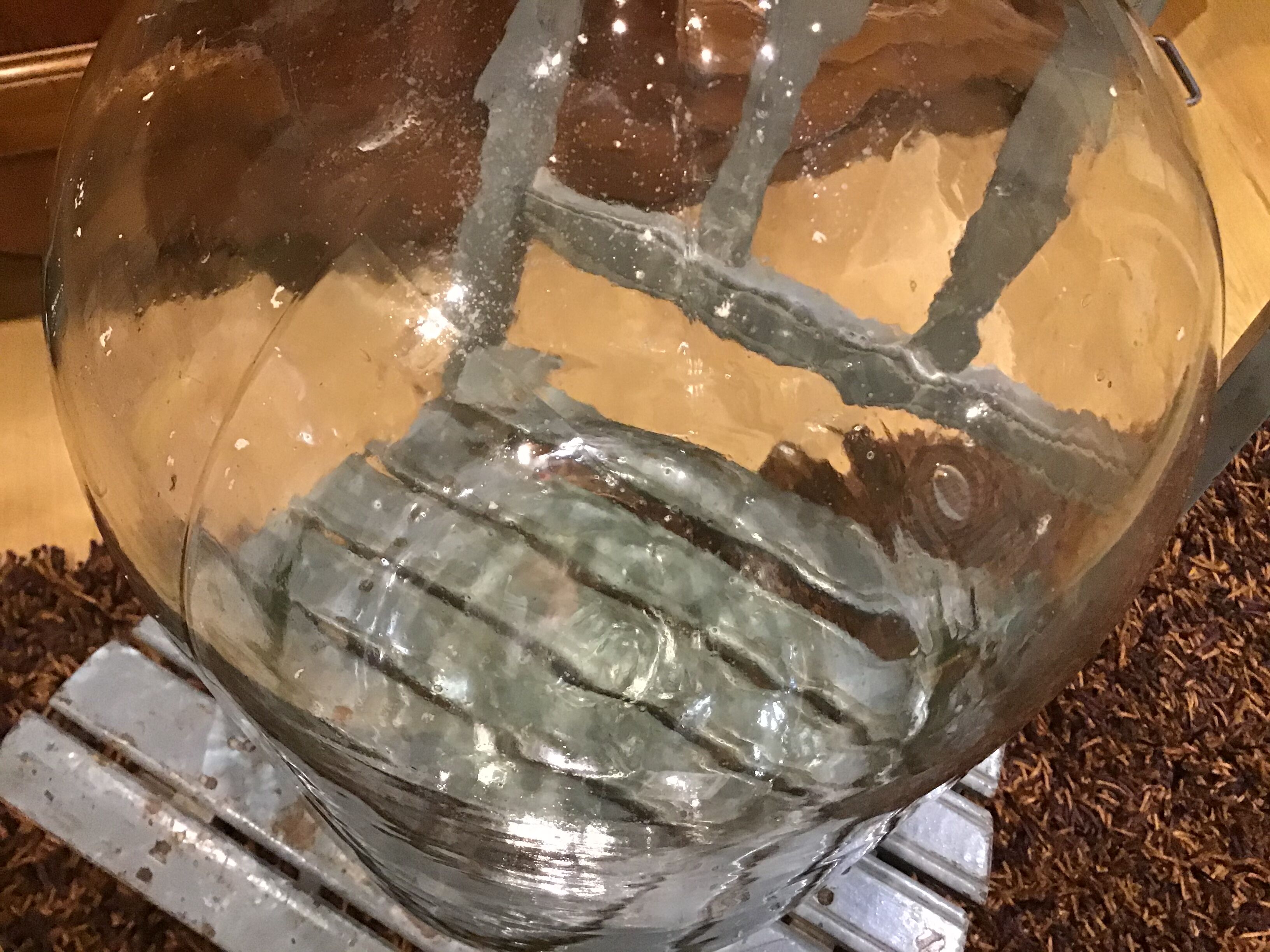 Large 20-litre translucent cylinder