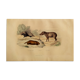 Original zoological board " Porc-Epic - Urson - Tapir " Buffon 1838