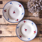 Duo of plates digoin Sarreguemines