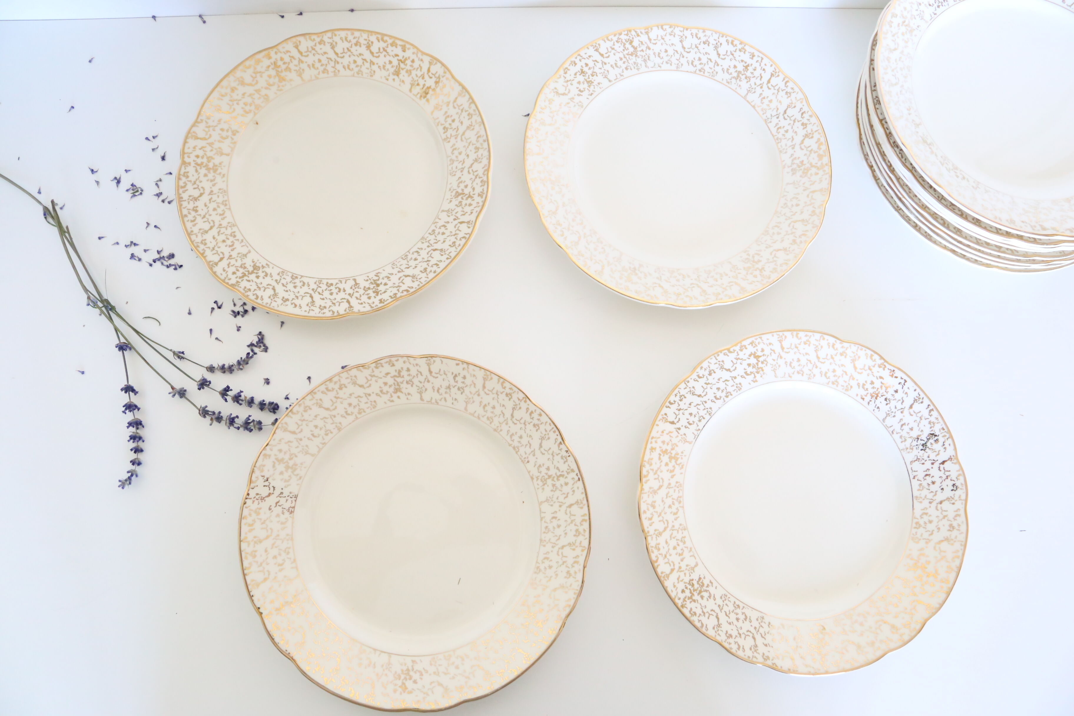 Villeroy and Boch flat plate service, batch of 12 plates, vintage, ceramic, white, gold, parties, vintage, chic