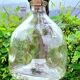 Wasp trap