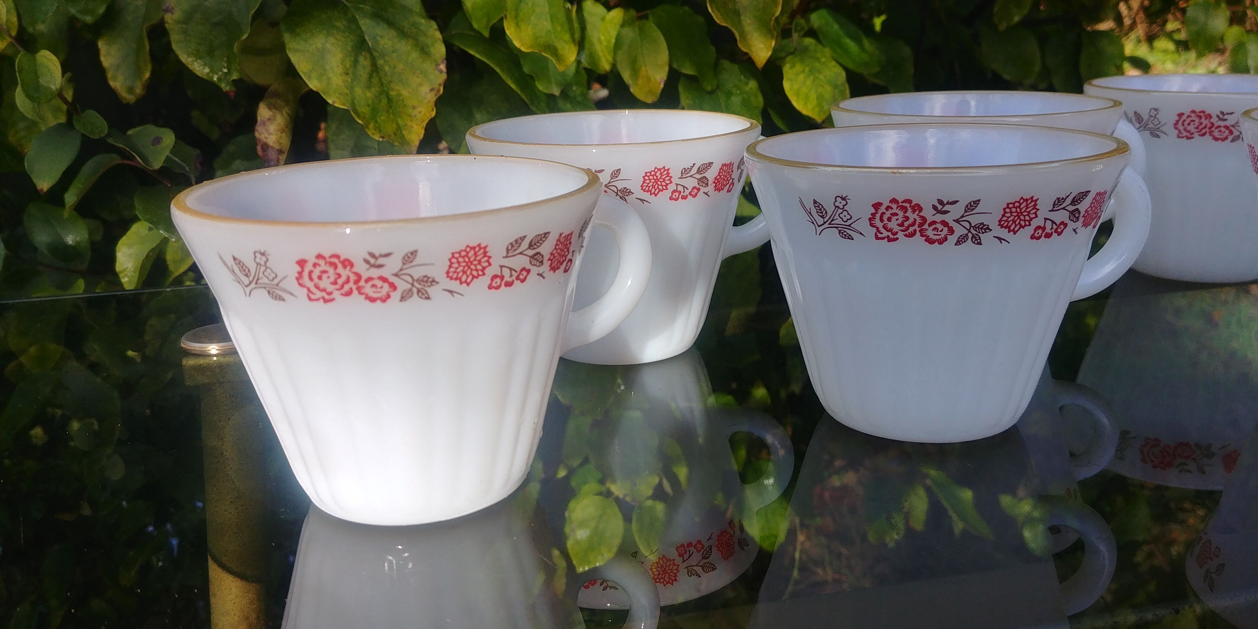 Set of 6 cups vintage Termocrisa Mexico in opaline, 60s