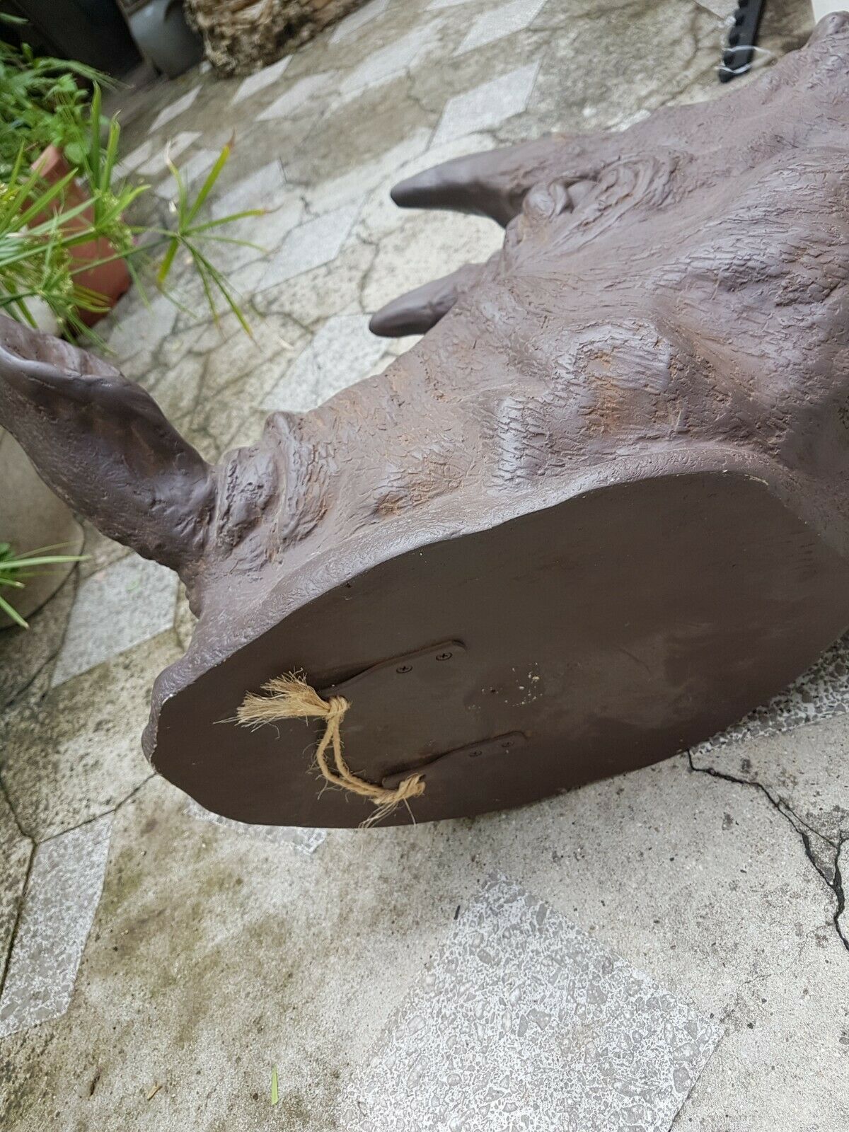 Resin rhino head