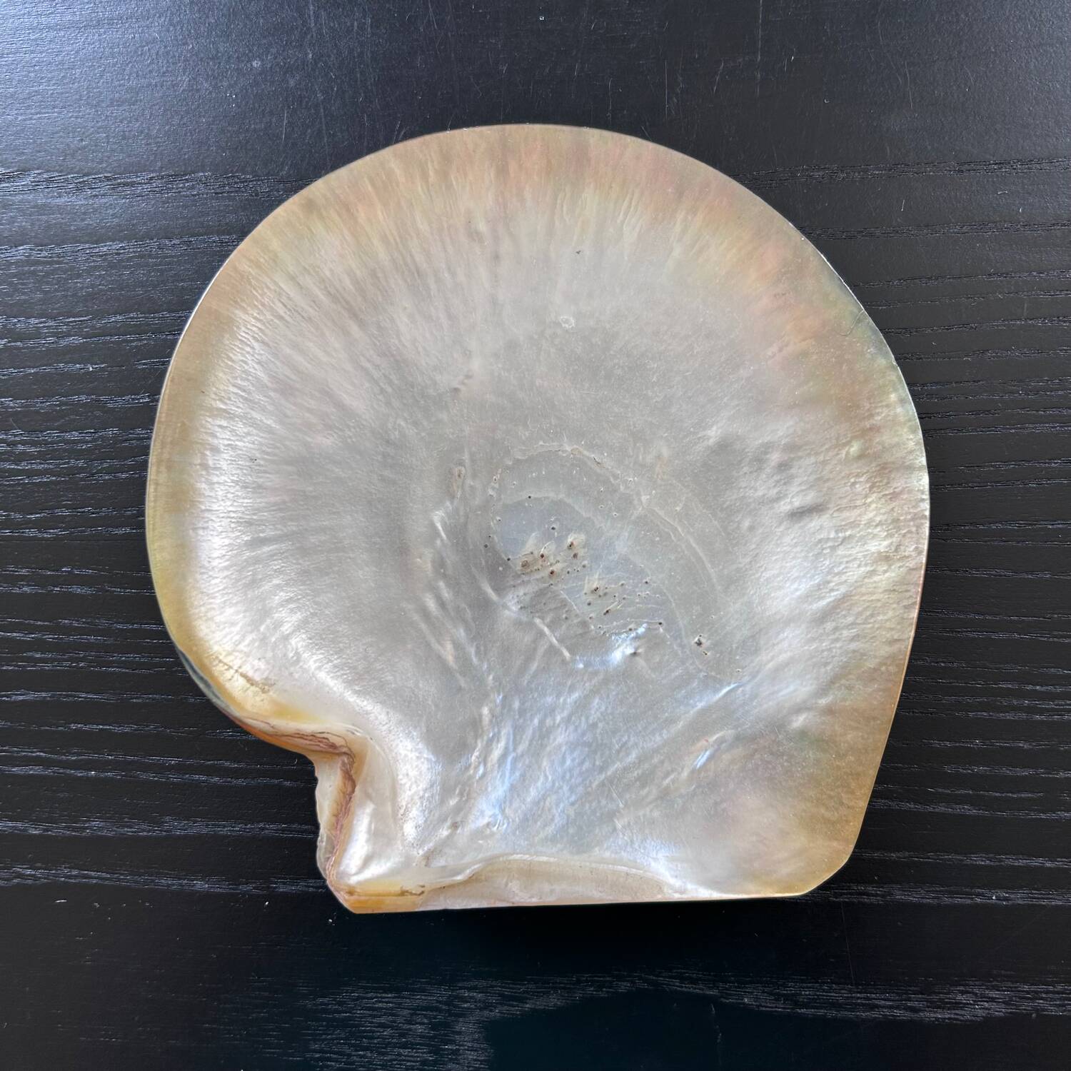 Mother-of-pearl shell emptier