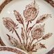 Ceramic plates thistles 70's