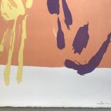 Pierre pallut, colors, circa 1973. original lithograph signed in pencil