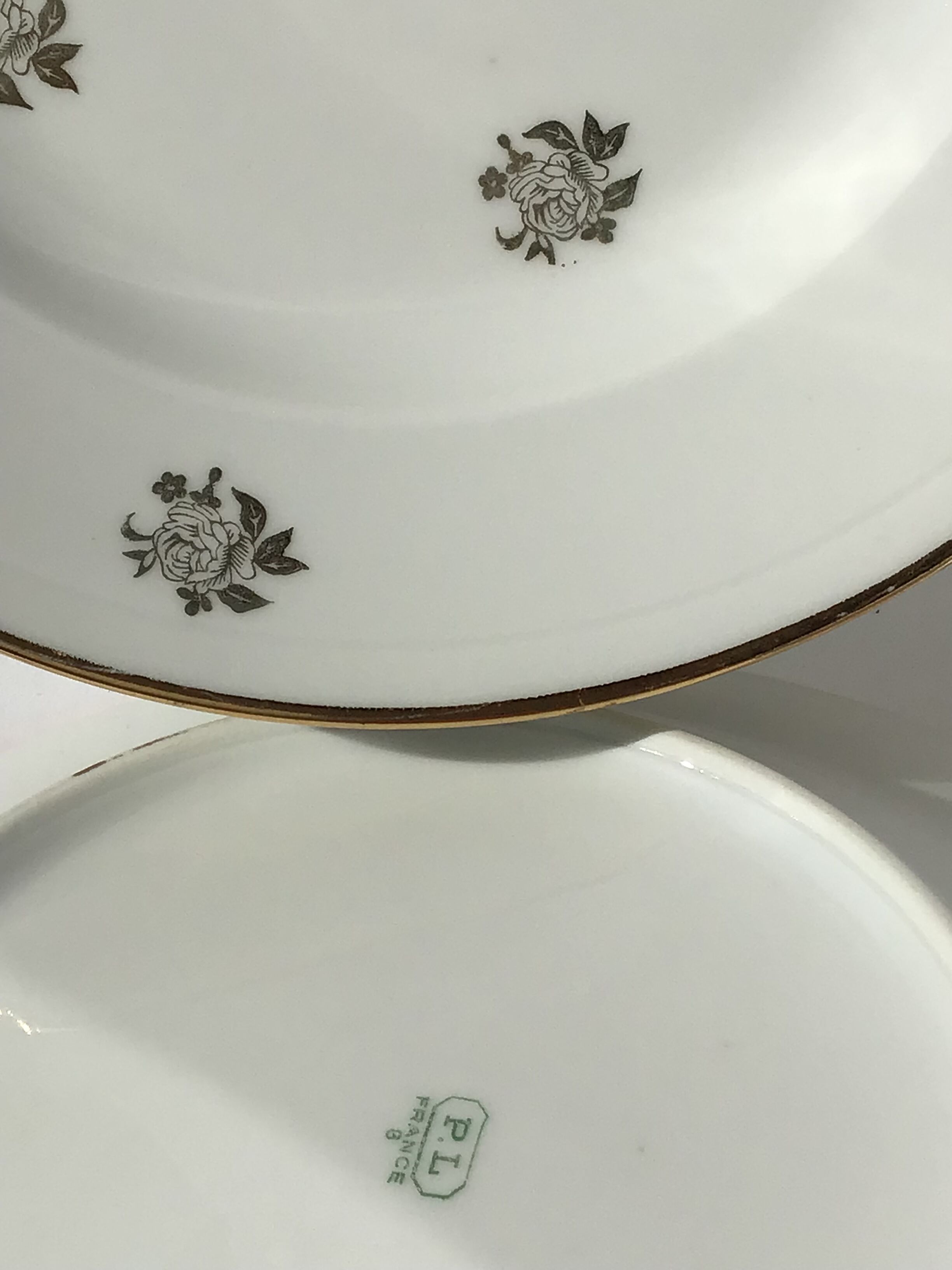 6 assiettes creuses porcelaine ivoire décor or roses