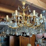 Grape variety chandelier