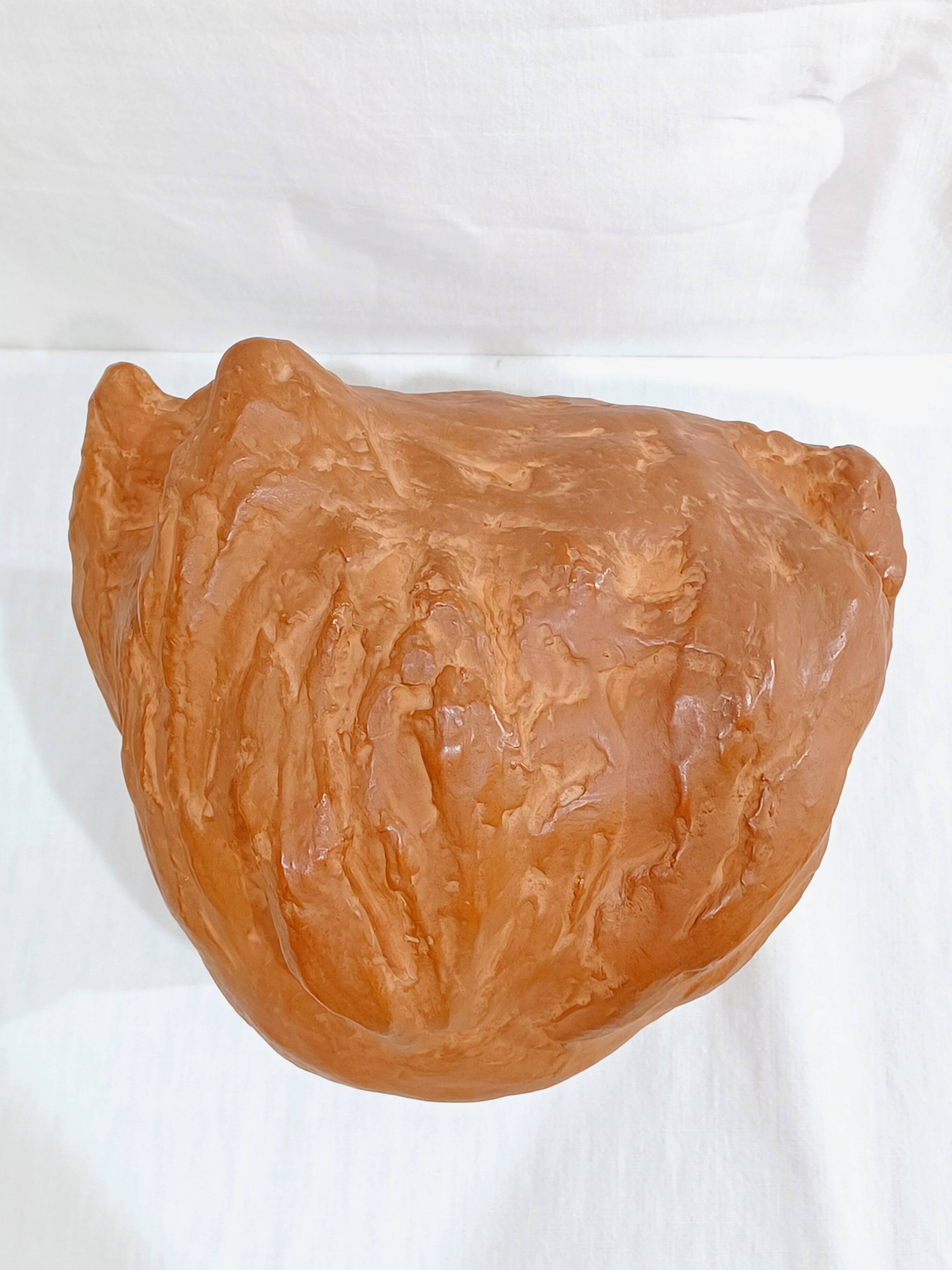 S. Foucault - Beethoven terracotta bust