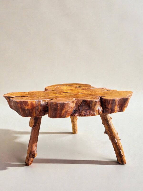 Table basse racine olivier style brutaliste