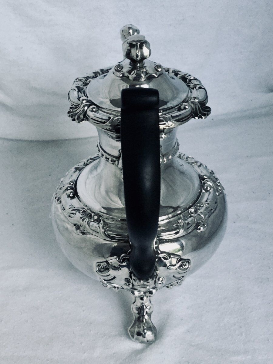 Selfish teapot silver