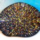 Ceramic plate Italy 1960s