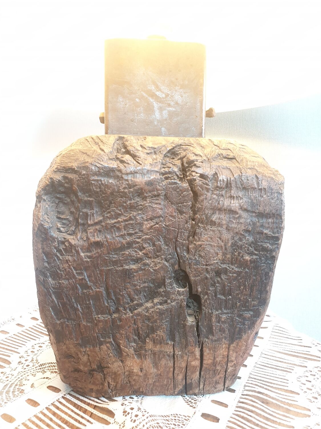 Fossilised Wood Bedside Lamp