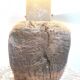 Fossilised wood bedside lamp
