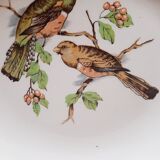 Set 6 assiettes creuses Badonviller