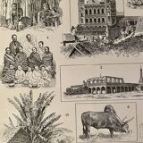 Lithograph and map on Madagascar - 1900