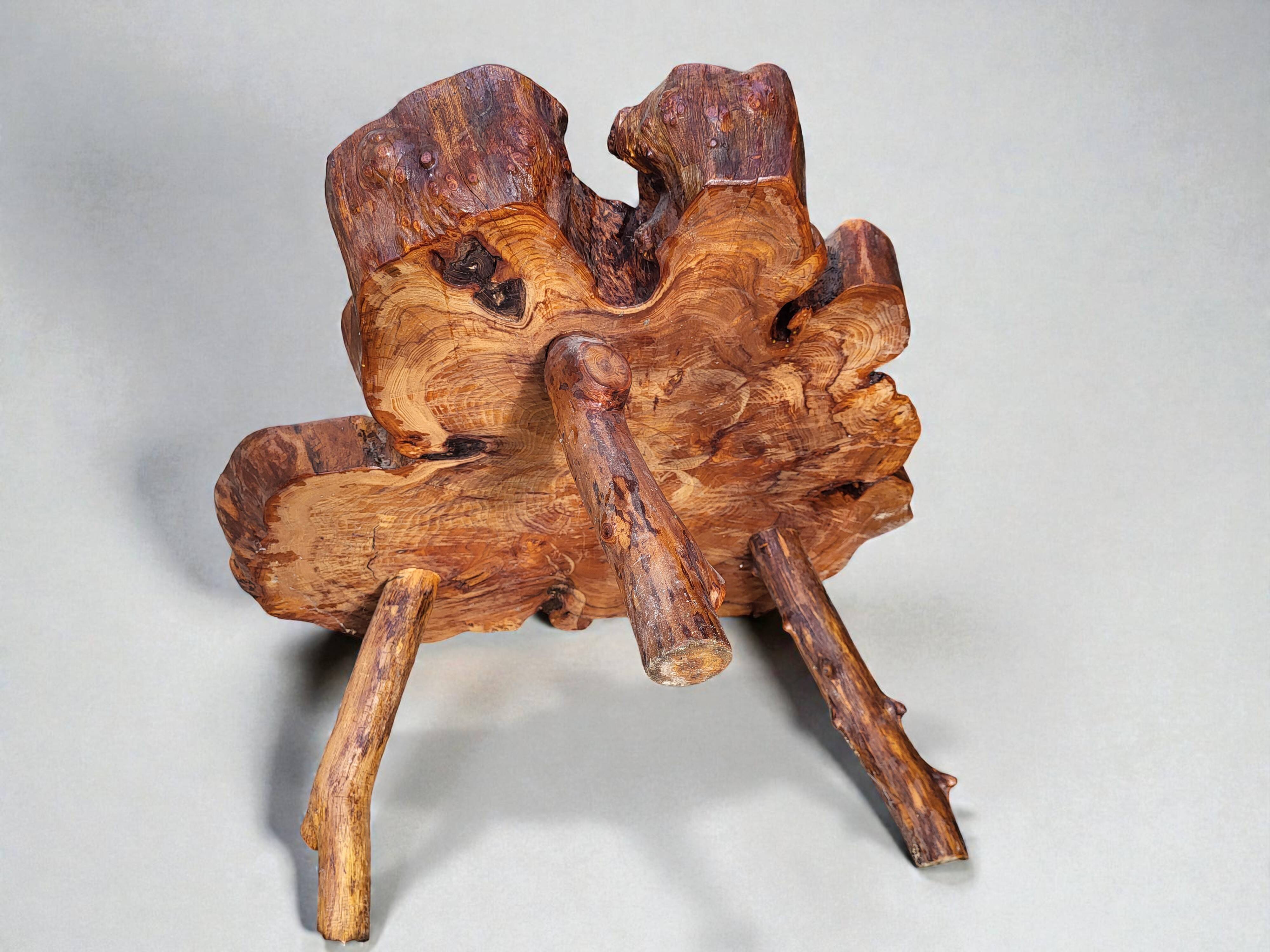 Olive root coffee table in brutalist style.